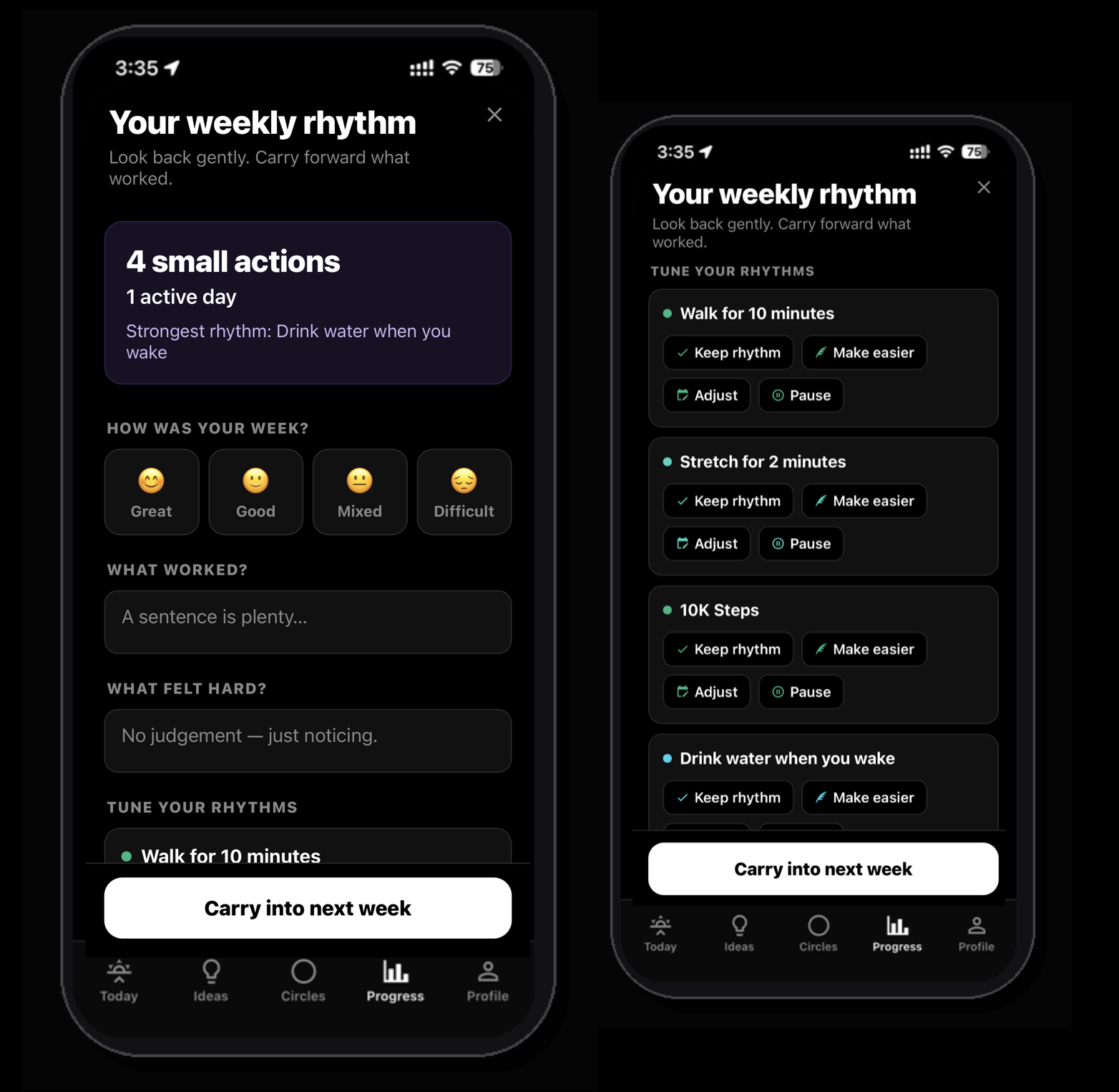 Daily Rythm weekly review and progress concept using the real progress screen.